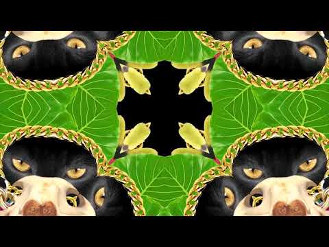 What So Not - Gemini feat. George Maple (Official Audio)