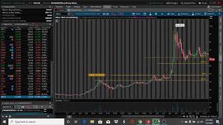 LIVE STOCK TALK WITH LIL PETTY