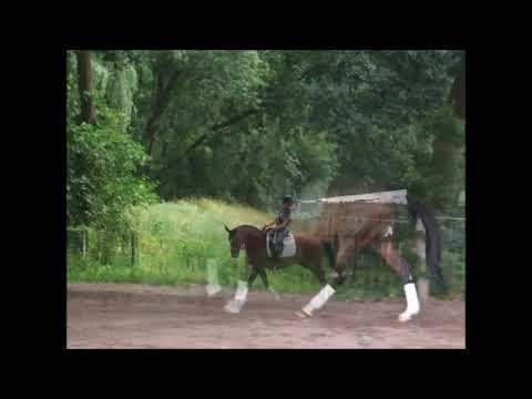 DON NOIR 10j. v. Don Laurie - Pik Noir