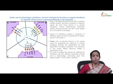 Lec 12 Introduction to cancer immunotherapy - Part 2