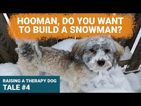 Puppies First Snow Day and Holiday Fun - Ep. 4: Raising a Therapy Dog