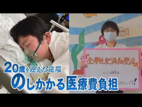 肥満細胞症について詳しく解説