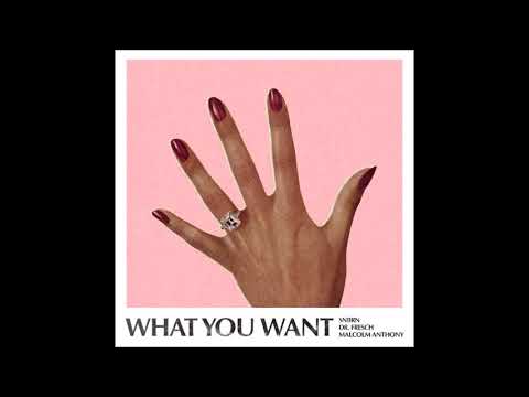 SNBRN & Dr. Fresch & Malcolm Anthony - What You Want
