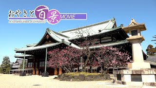 「紅梅」『おやさと百景』(90)