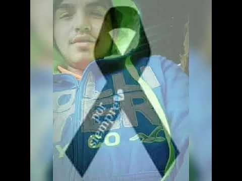 La duty para él conejo