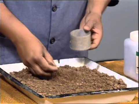 download lagu mp3 mp4 Butter Water Content, download lagu Butter Water Content gratis, unduh video klip Butter Water Content