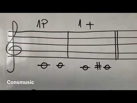 Intervale muzicale | PRIMA