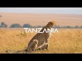 Tanzania 4K Scenic Wildlife Film With African Music