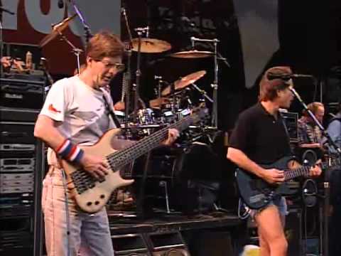 Grateful Dead Perform 