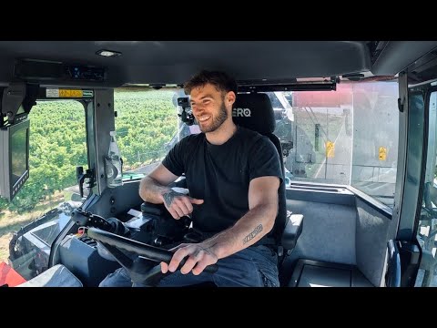 HARVEST VLOG 1: The normal GRAPE MADNESS begins! 🍇🚜🍃