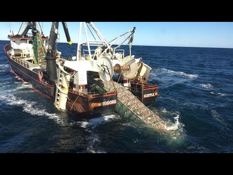 Amazing Commercial Big Net fishing on The Sea - Catching & Producing Fish Frozen On the Big Boat