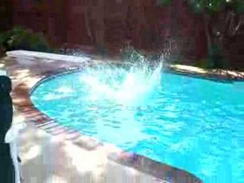 Polish Olympic Diving Team