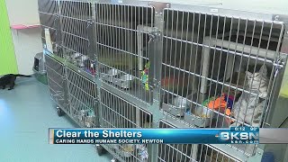 Clear the Shelters with Caring Hands Humane Society in Newton