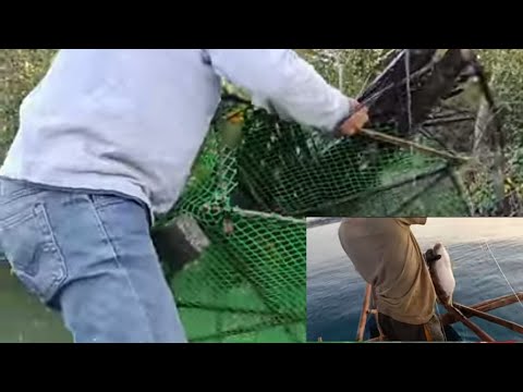 Catch & Cook;;Ang Daming malabanos na huli sa Kitang at lapu_ lapu#kitang#malabanos#lapulapu