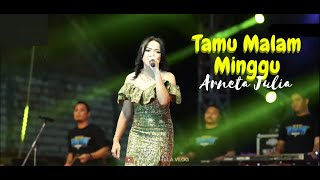 Download lagu Tamu Malam Minggu:: Voc. Arneta Julia :: OM ADELLA LIVE  SUKOHARJO-REMBANG mp3