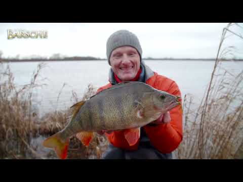 So ticken Barsche! Unser Barsch-Sonderheft!