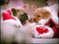 dogs singing christmas song 
