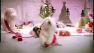 dogs singing christmas song Video