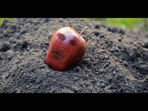 Video thumbnail for Sucker Punch!
