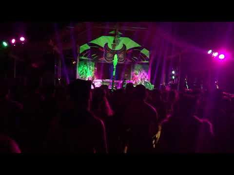Shambhala Grove Reunion - Lazy Syrup Orchestra