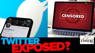 Twitter EXPOSED Leaked Video Shows Site's Engineer Saying Employees Are 'Commie As F**k'