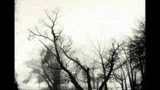 Deaf Center: Path to Lucy