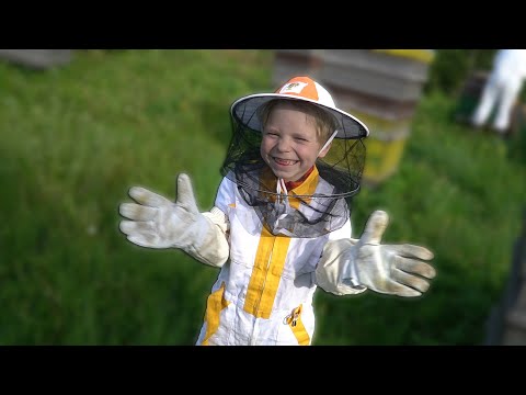 SATIKĀM MAZO BITENIEKU