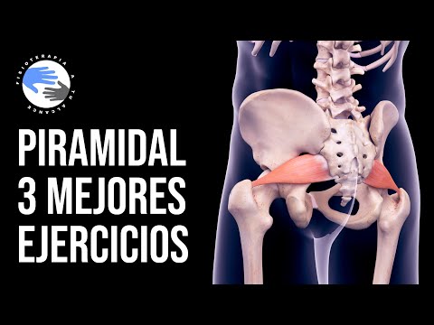 Los 3 MEJORES EJERCICIOS para el síndromde del PIRAMIDAL