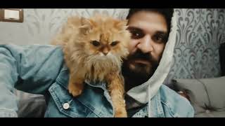 كلمات اغنية تيتو كات احمد الخولي