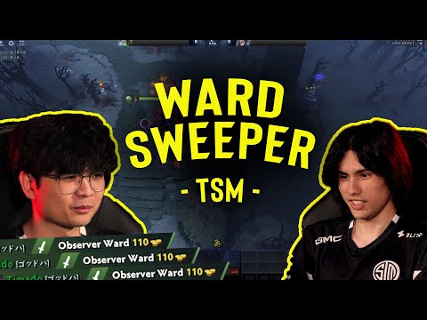 Find them all! TSM Bryle and Timado play Wardsweeper