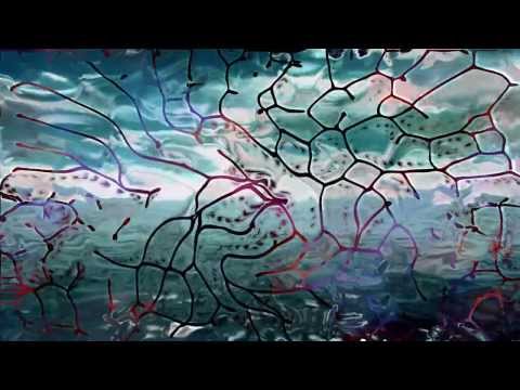 Edu Yattah - Helesponto (Marco Bailey & Filterheadz Remix)