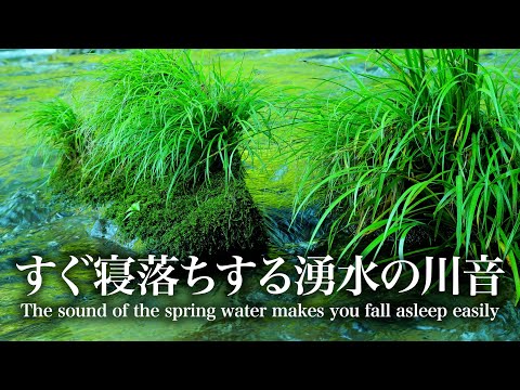 モダンな庭園デザインのアイデア