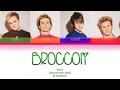 McFly - Broccoli [Colour Coded Lyrics]