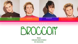 McFly - Broccoli [Colour Coded Lyrics]