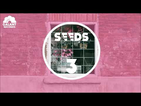 [SEEDS #03] RRobin X Le Jouage X Iraka X Elea Braaz - Avenir