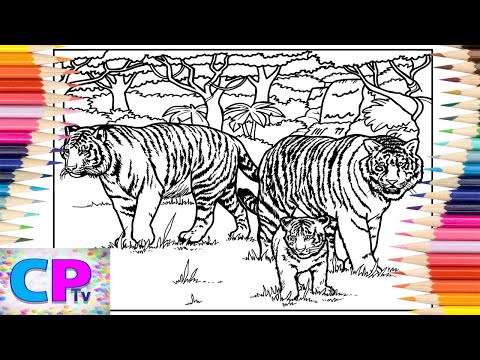 Tiger`s Family Coloring Pages/Wild Tiger`s Coloring/Spektrem - Shine [NCS Release]No Copyright Sound