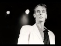 Peter Murphy - The answer is clear 