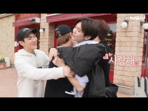 download lagu mp3 mp4 Whipped For Rent, download lagu Whipped For Rent gratis, unduh video klip Whipped For Rent