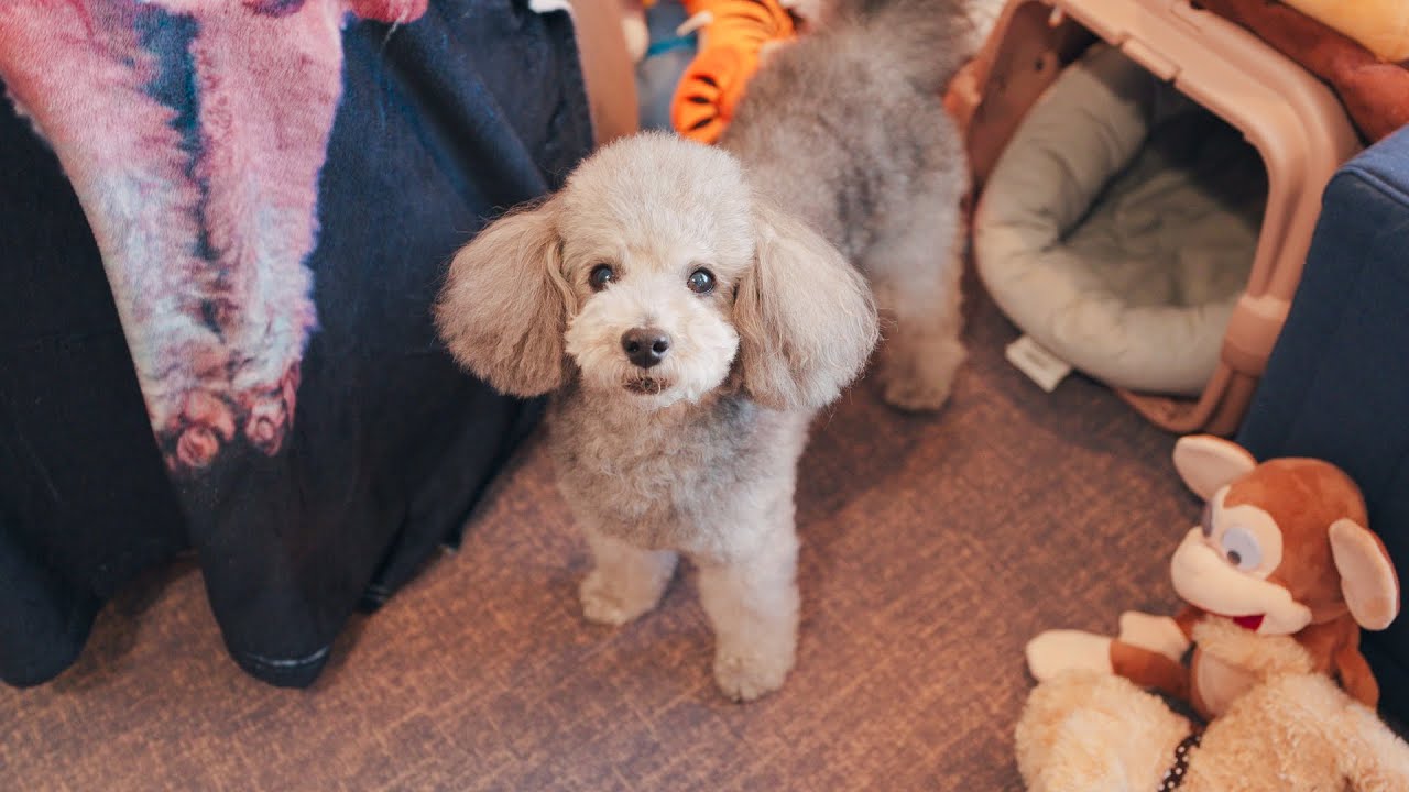 お久しぶりです！