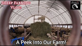 A Peek Into Our Farm!