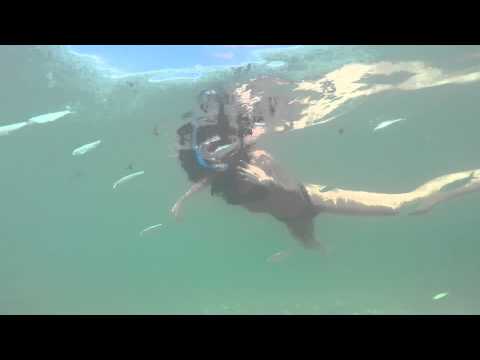 Pitbull Ft Honorebel She's My Summer 2015 GoPro Miami