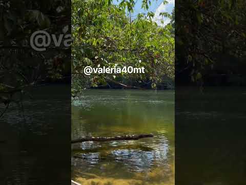 Aqui é meu melhor lugar, a paz mora aqui Guarantã do Norte MT