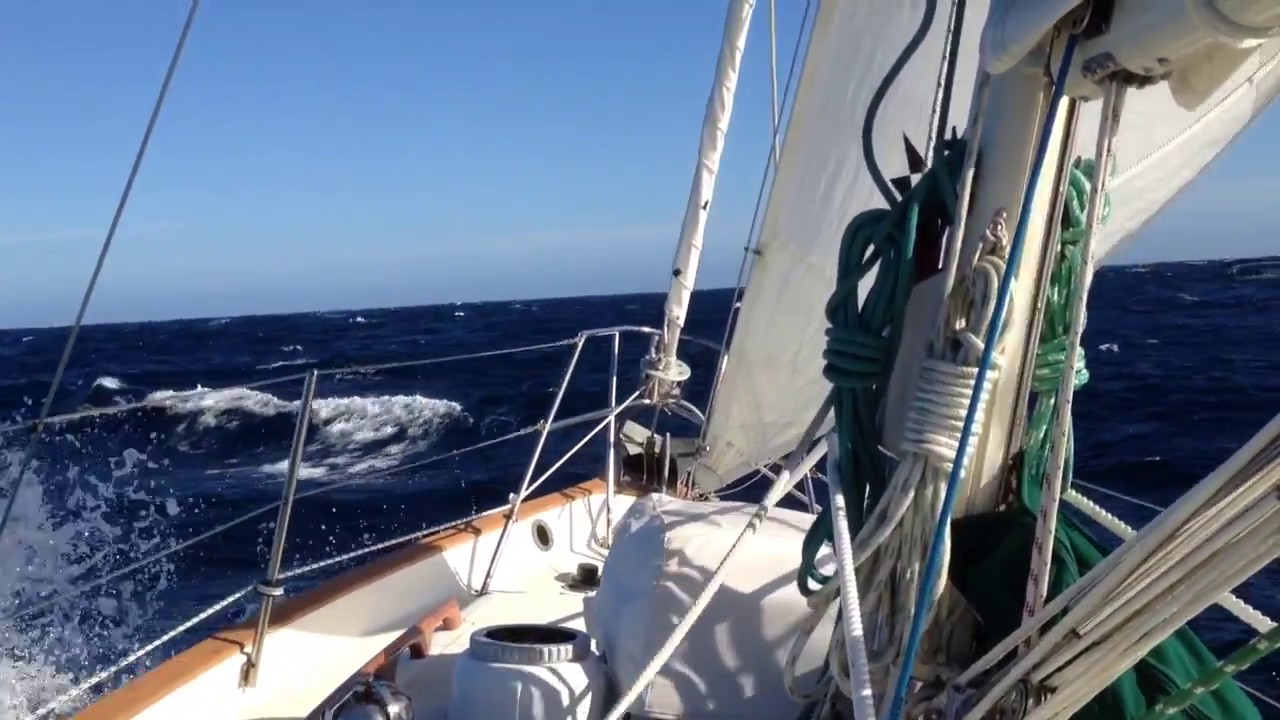 Running off the Baja Coast, Staysail Only, in Confused Seas