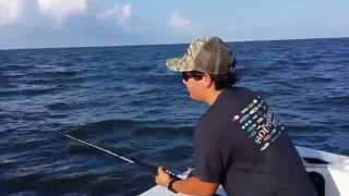 preview picture of video 'South Louisiana Shark Fishing with Captain Clark Trosclair'