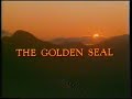 Original VHS Opening The Golden Seal UK Pre Cert Tape