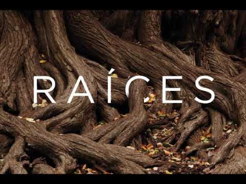 SADYMASAKRE - VENENO EN RAICES