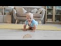 Close Up Of Baby Crawling Video 2021