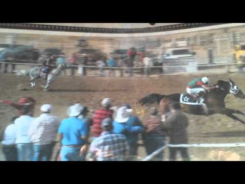 EL FELINO - GRUPO LABERINTO