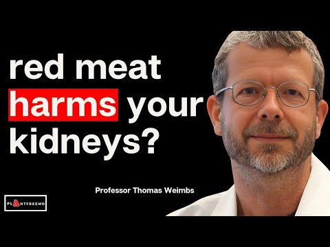 Too Much Meat Will DESTROY The Kidneys? Here Are The Facts!