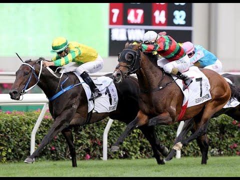 The BMW Hong Kong Derby (G1) 2021 -  Sky Darci